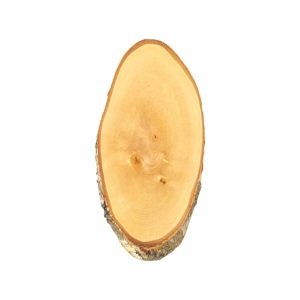 Březová podložka pod trofej 42-45x22 cm