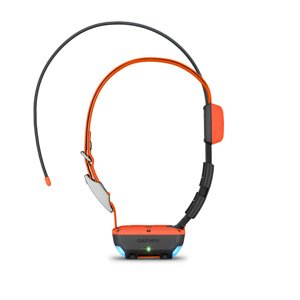 GPS obojek Garmin Alpha T 20