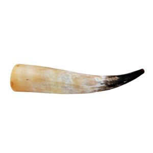 Řevnice z volského rohu 41 - 45 cm