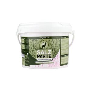 Solná pasta anýz - 2kg kbelík