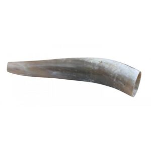 Jelení řevnice Weisskirchen roh 40 cm
